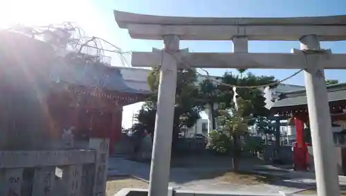 赤稲荷神社の鳥居