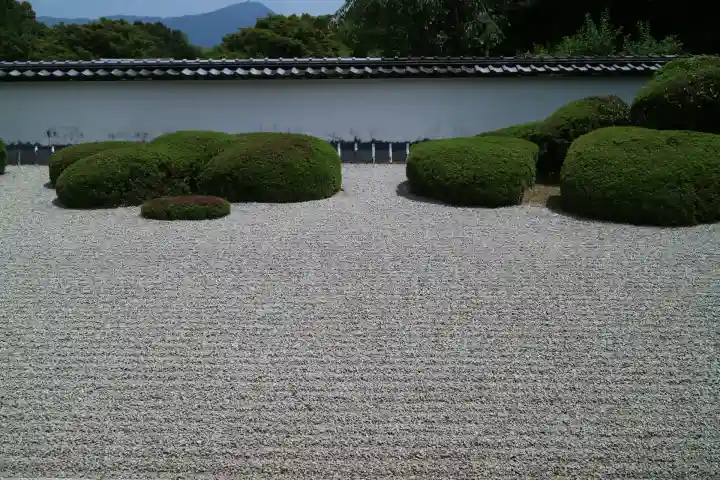 正伝護国禅寺(正伝寺・正傳寺)(京都府)