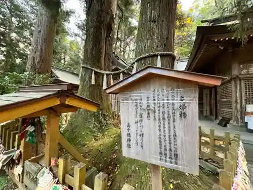 高千穂神社(宮崎県)
