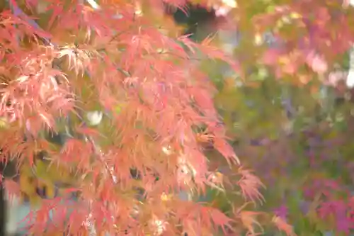 禅林寺（永観堂）(京都府)