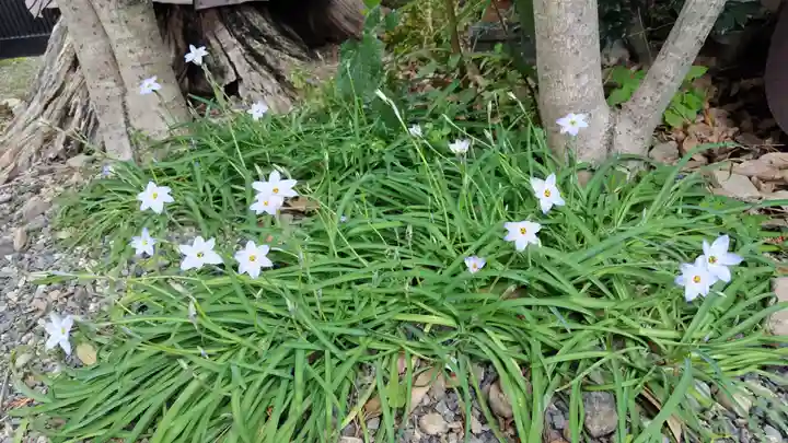 鎌達稲荷神社(京都府)