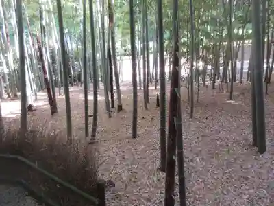 報国寺(神奈川県)