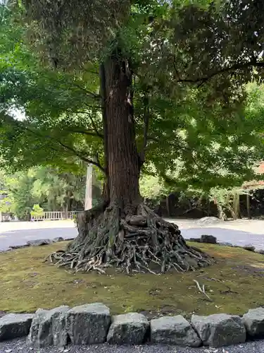 安房神社(千葉県)