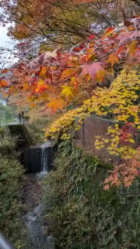 服部神社(京都府)