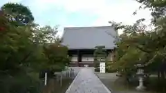 光明寺（粟生光明寺）の本殿