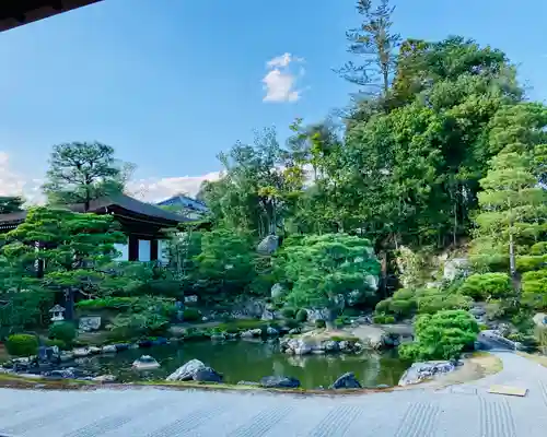 仁和寺の庭園