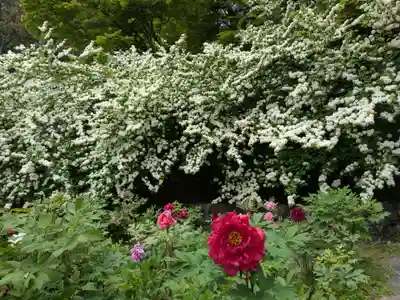長谷寺(奈良県)