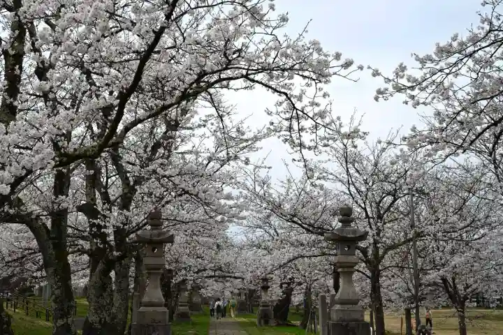蒼柴神社(新潟県)