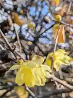 福蔵院(東京都)