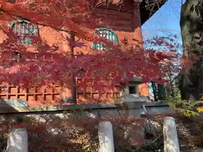 養玉院如来寺(東京都)