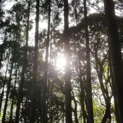 金砂神社の自然