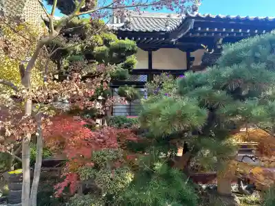 法輪寺(東京都)