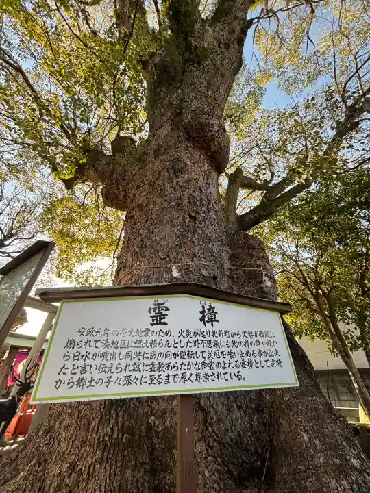 蟻通神社(和歌山県)