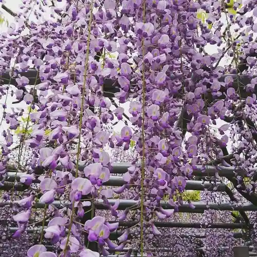 大澤山　龍藏寺の庭園