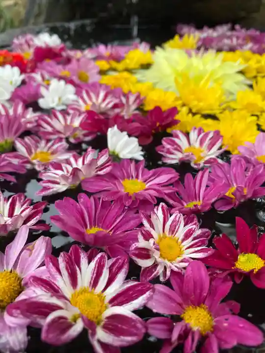 大鏑神社の手水舎