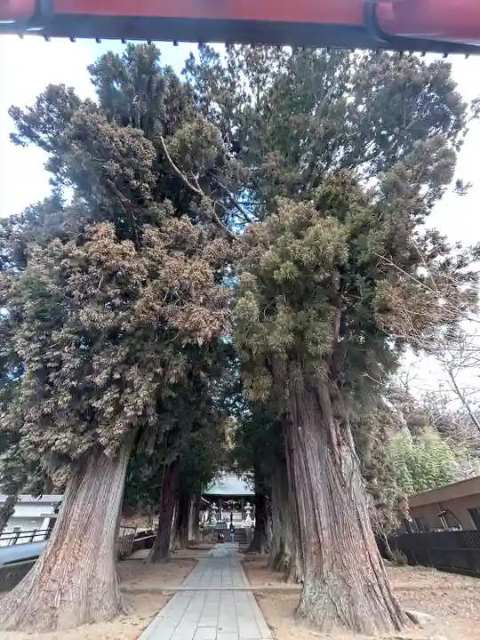 河口浅間神社(山梨県)