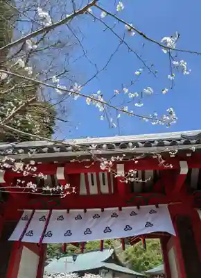 朝護孫子寺(奈良県)
