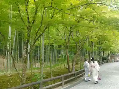 天龍寺(京都府)