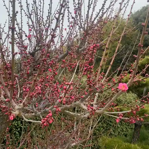 加佐美神社(岐阜県)