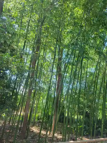 惠依彌二名神社(愛媛県)