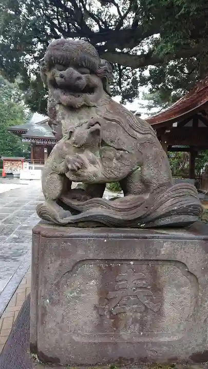 石神井氷川神社の狛犬