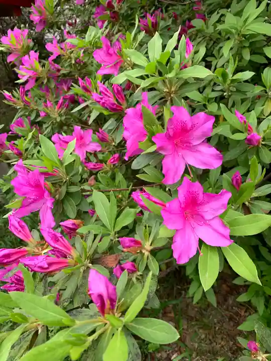 熊野神社(熊野町)(群馬県)