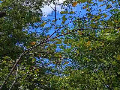 勝持寺（花の寺）(京都府)