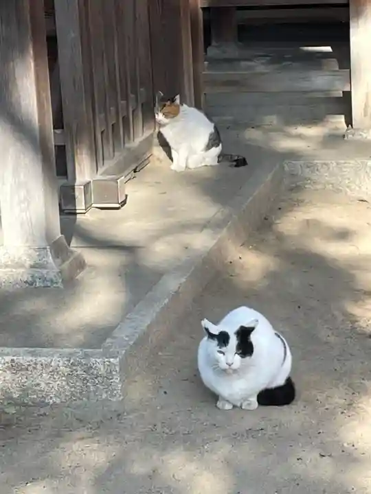 大津神社の動物
