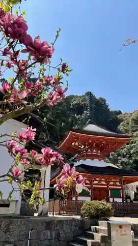 金剛寺のその他建物
