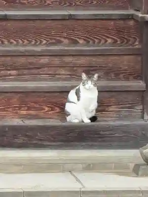 慈眼寺(島根県)