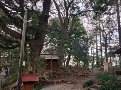 塚崎神明社のその他建物