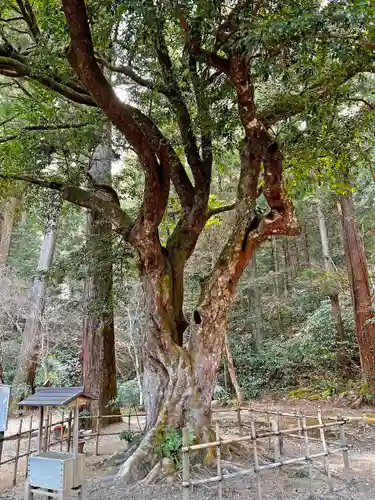 小國神社(静岡県)
