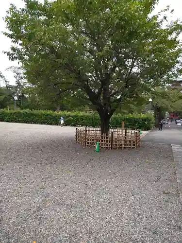 池上本門寺のその他建物