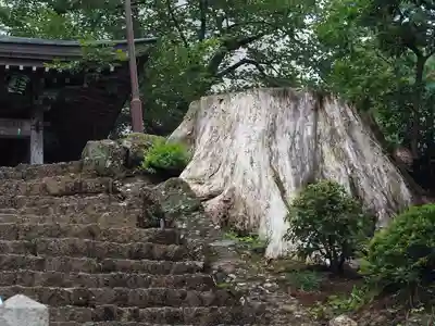 松尾寺(京都府)