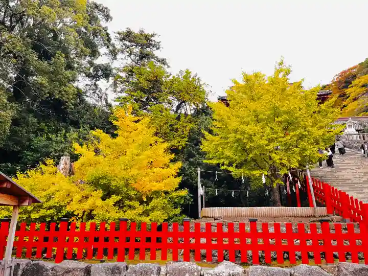 鶴岡八幡宮(神奈川県)