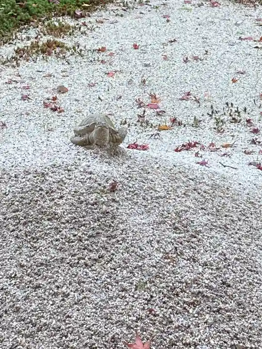 明月院(神奈川県)