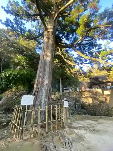 天恩寺(愛知県)