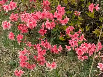 榛名富士山神社(群馬県)