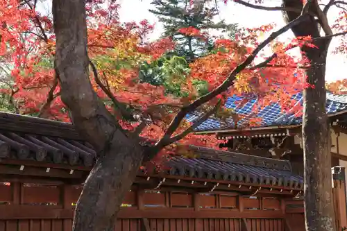 能仁寺(埼玉県)