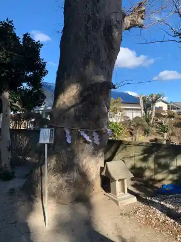 三島八幡神社の庭園