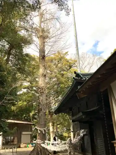 玉前神社(千葉県)