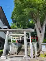 日吉神社の鳥居