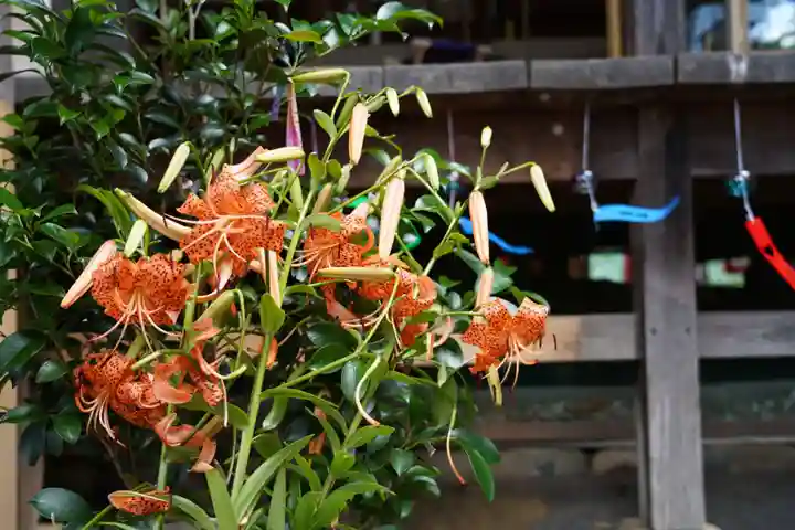 高司神社〜むすびの神の鎮まる社〜の自然