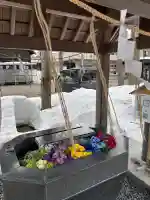 新琴似神社の手水舎