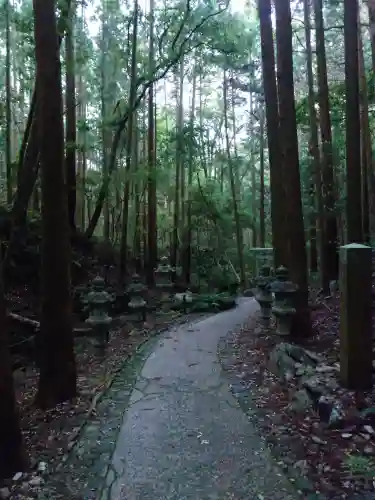 天の岩戸神社(三重県)