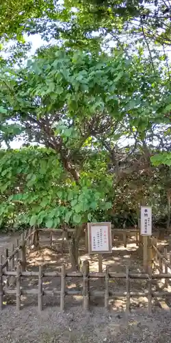 天豊受神社(埼玉県)