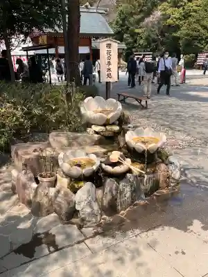 櫻木神社の{uncategorized: "未分類", other: "その他", undefined: "問題あり", building: "その他建物", grave: "お墓", sacred_gate: "鳥居", guardian: "狛犬", statue: "像", buddha: "仏像", history: "歴史", nature: "自然", garden: "庭園", animal: "動物", pagoda: "塔", temizu: "手水舎", mountain_gate: "山門・神門", sanctuary: "本殿・本堂", subordinate: "末社・摂社", art: "芸術", scenery: "景色", jizo: "地蔵", ema: "絵馬", goshuin: "御朱印", omikuji: "おみくじ", items: "授与品その他", amulet: "お守り", goshuincho: "御朱印帳", eats: "食事", festival: "お祭り", votive_dance: "神楽", shichigosan: "七五三参", wedding: "結婚式", experience: "体験その他", initially: "初詣", around: "周辺", anti_infection: "感染症対策"}
