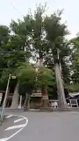 大神神社(岐阜県)