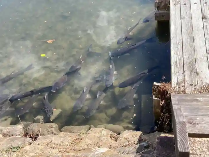 歳徳神社(兵庫県)