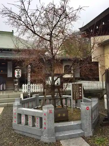 大坊本行寺の自然
